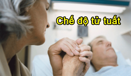 CHẾ ĐỘ TỬ TUẤT: ĐỐI TƯỢNG, ĐIỀU KIỆN VÀ MỨC HƯỞNG